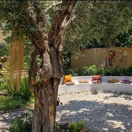 דירה Gammi Hayitbuekue *